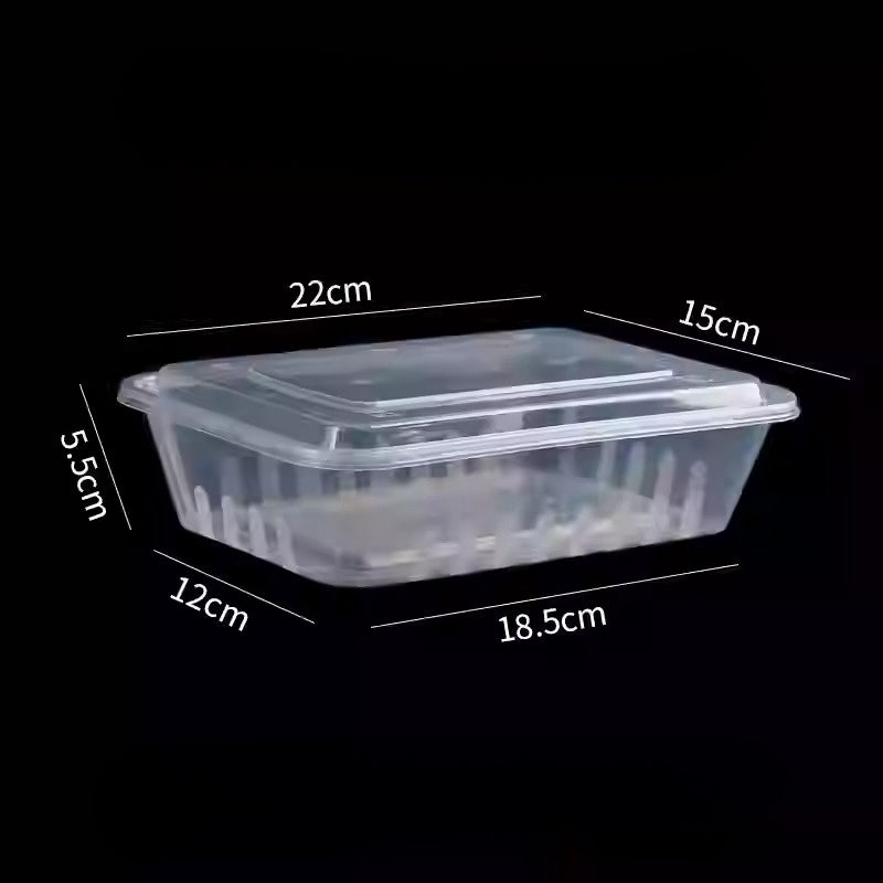 Recyclable Plastic Containers/Pack of 50 with Lids